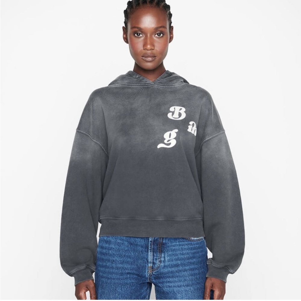 Anine Bing Charcoal Washed Logo Hoodie